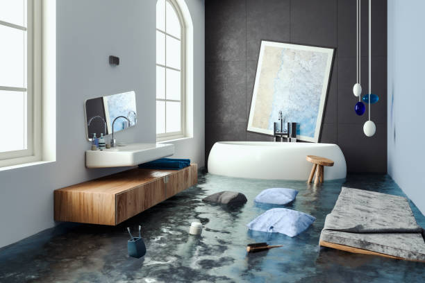 Best Water damage cleanup near me  in Hanover Park, IL