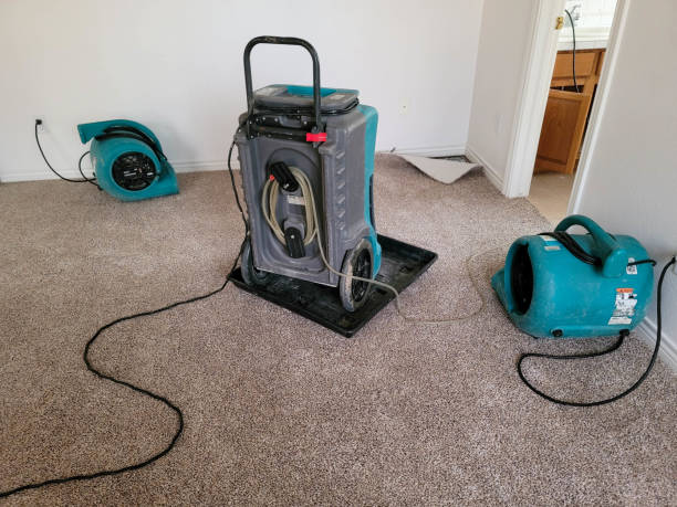 Best 24-hour water damage restoration  in Hanover Park, IL