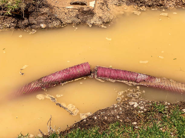 Best Local water damage restoration  in Hanover Park, IL